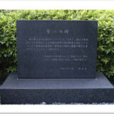 『薬害根絶デー』