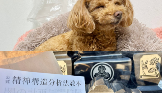 『2025年総括／今年もありがとうございました🙏』