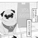 『おかげさまで12周年／あずき＆よもぎ＆もなか日記vol.0〜我が家の愛犬パグのあずき〜』