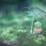 『秋の長雨と体調不良を考える』