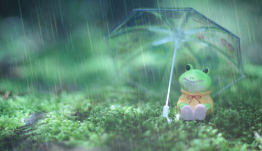 『秋の長雨と体調不良を考える』